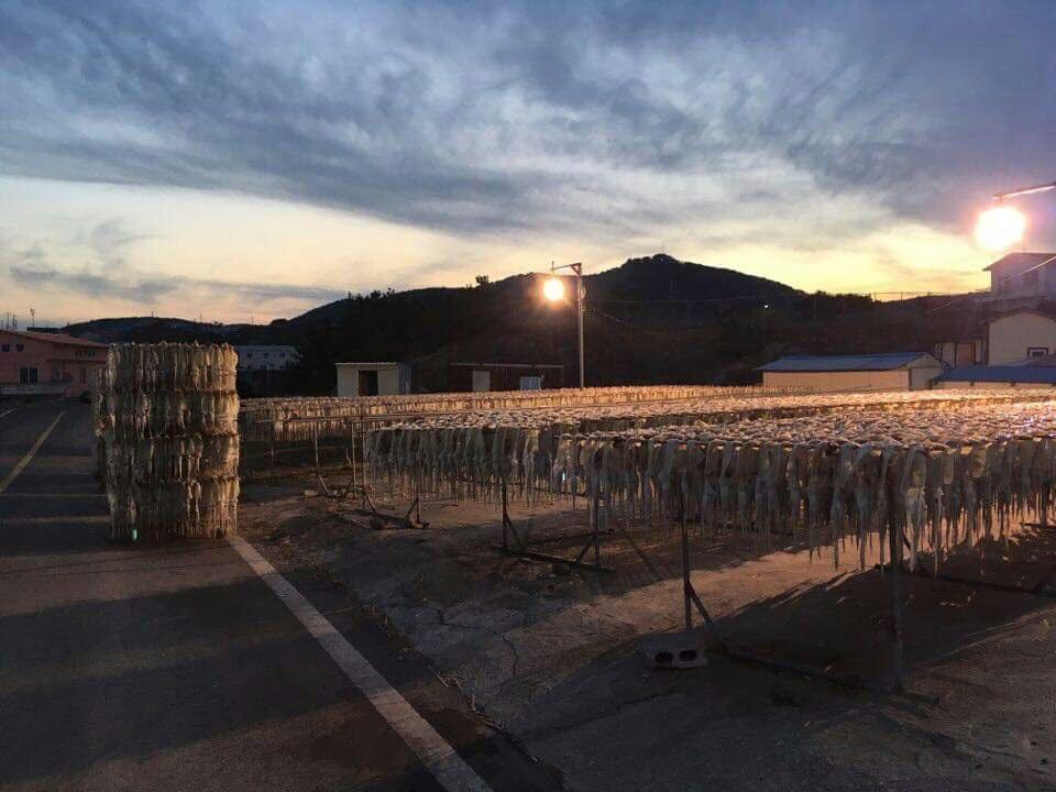 Tobang Red Clay Pension Pohang Exterior photo